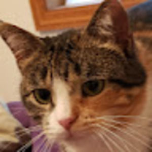 Meet your Posher, Terressa